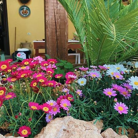 La Casa Di Anna Hotel Marsala Eksteriør billede