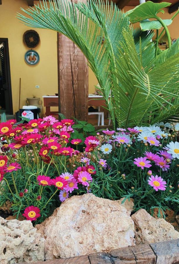 La Casa Di Anna Hotel Marsala Eksteriør billede
