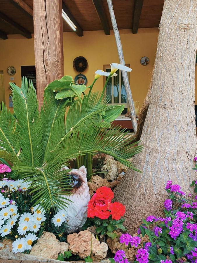 La Casa Di Anna Hotel Marsala Eksteriør billede